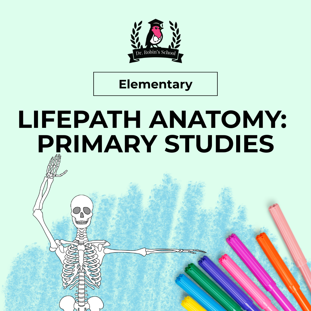 A cover photo that reads "Elementary Lifepath Anatomy Primary Studies" with a white skeleton and markers