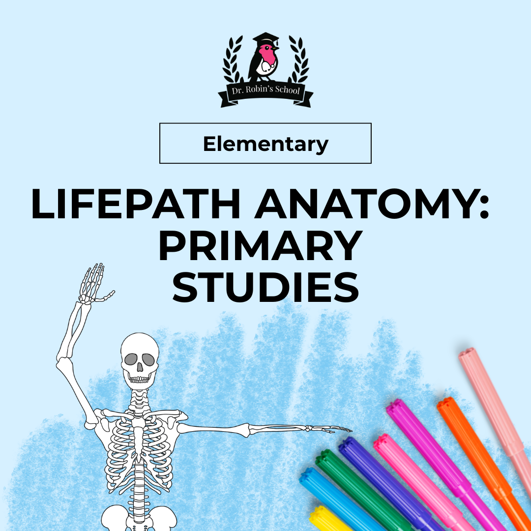 LifePath: Anatomy for All - Primary Studies
