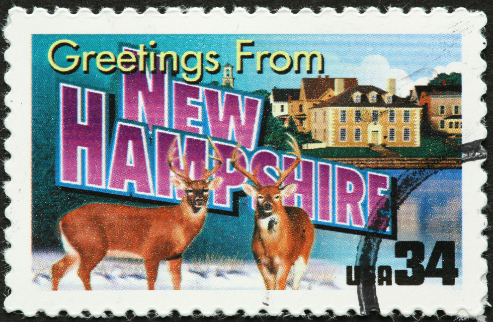 How to use your New Hampshire ESA for Science