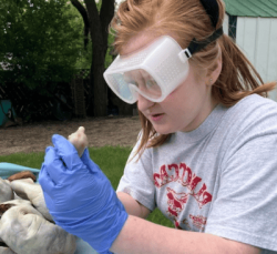 Level 3 MedPath student doing a dissection. (A pre-pre-med student from Dr. Robin's School)